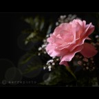 10 Maggio