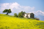 La Casa in Collina La Casa in Collina