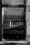 Il vortice dei ricordi riflessi. Il vortice dei ricordi riflessi.