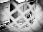 Intrappolato tra le righe Intrappolato tra le righe