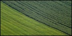 earth stripes earth stripes