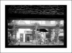 Dal basso ... attraverso Dal basso ... attraverso
