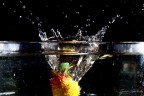 splash splash