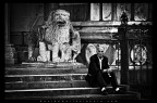 un uomo ed un leone un uomo ed un leone