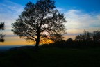 Tramonto al Tuscolo Tramonto al Tuscolo