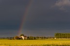 After the storm After the storm
