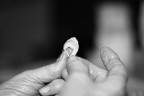 Tradizioni modenesi Tradizioni modenesi