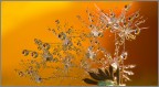 il giallo nel giallo il giallo nel giallo