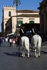 carabinieri a cavallo 2