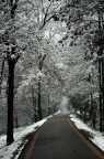 verso l'inverno... neve! verso l'inverno... neve!