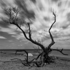 nonostante tutto il tempo scorre