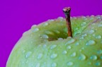 green apple green apple