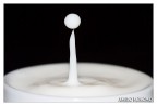 Goccia di latte Goccia di latte