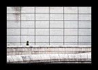 Righe in Bleach Bypass Righe in Bleach Bypass