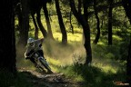 freeride freeride