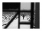 inverno1 inverno1