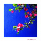 Blu.... green and pink Blu.... green and pink