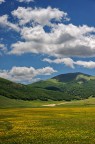 Tarda primavera ai Piani di Castelluccio Tarda primavera ai Piani di Castelluccio