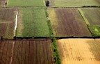 Campagne