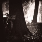 Lost ... Lost ...