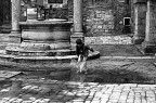 Splash! Splash!