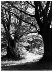 Natura Natura