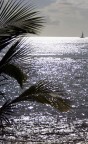 Caribe Caribe
