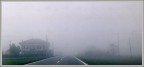 nebbia nebbia