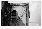 Window. Window.
