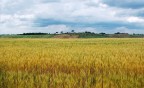 toscana toscana