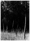 Natura 4 Natura 4