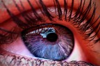 Macro Occhio Macro Occhio