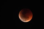 Moon Eclipse Moon Eclipse