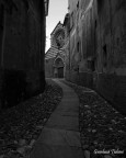 basilica dei fieschi basilica dei fieschi