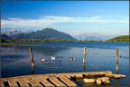 Lago di Alserio Lago di Alserio