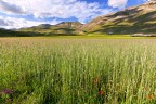 Castelluccio