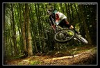 MTB|DownInTheWoods MTB|DownInTheWoods
