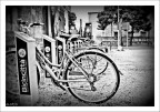 bicycles bicycles