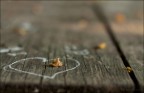 A Broken Heart A Broken Heart