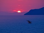 tramonto dall'isola del Tino tramonto dall'isola del Tino