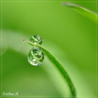 1/1000 sec, f/5.6, ISO 320, 150 mm
Commenti e critiche ben accetti