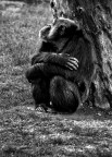 non mi faccio fotografare......