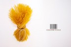 Spaghetti Spaghetti