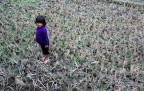 Vietnam/3 Vietnam/3