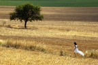 tra "loro" ..... tra "loro" .....