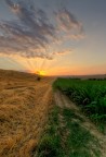 EMOZIONI DI UNA TERRA EMOZIONI DI UNA TERRA
