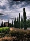 Campagna senese Campagna senese