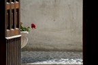 la vita fuori la vita fuori