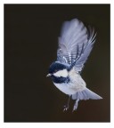 In volo In volo
