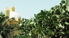 United Colors Of Sicily United Colors Of Sicily